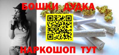 гашик Сланцы