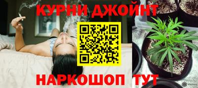 прущие грибы Славянск-на-Кубани