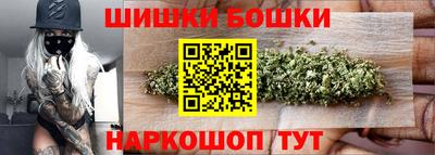 гашик Сланцы