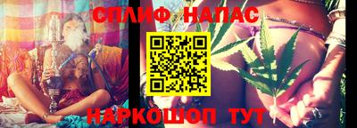 прущие грибы Славянск-на-Кубани