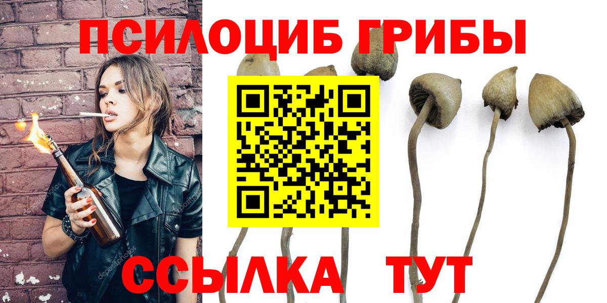 Галлюциногенные грибы MAGIC MUSHROOMS  Вход с VPN  Можга 